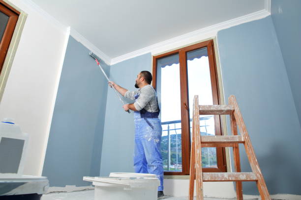 Best Emergency Mold Remediation  in Shoreline, WA