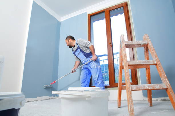  Shoreline, WA Mold Removal Pros