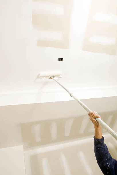 Best Biohazard Mold Removal  in Shoreline, WA